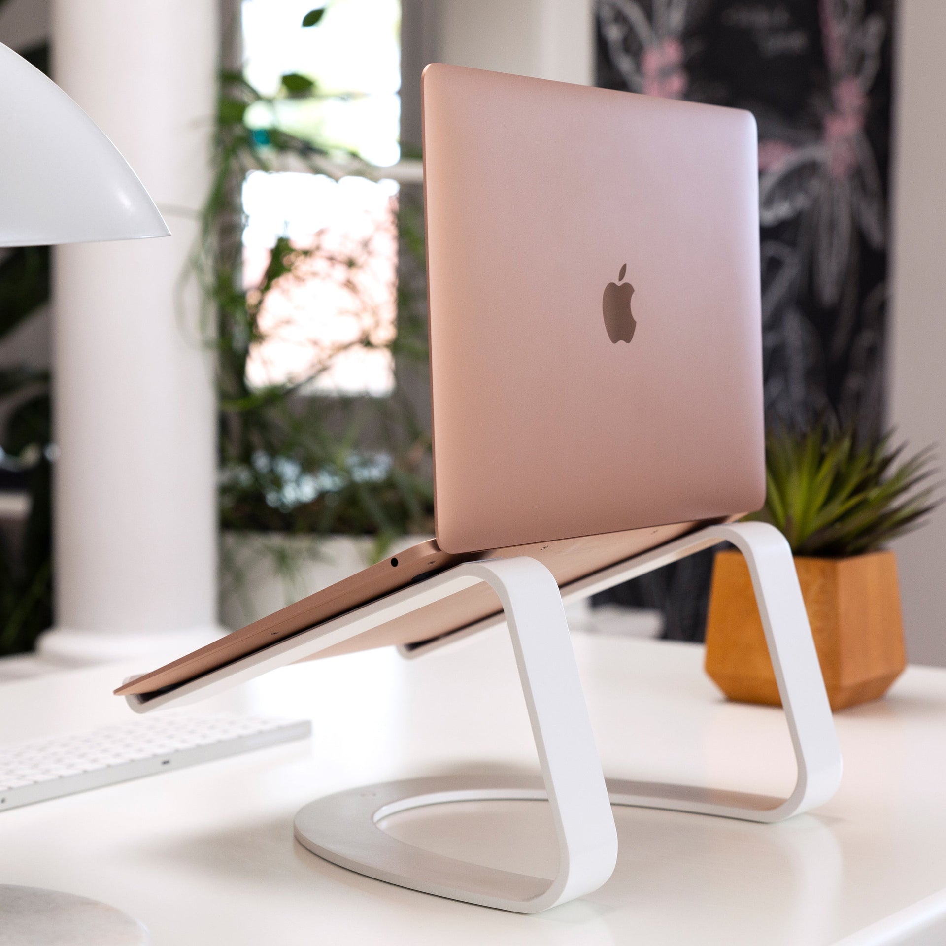 Need a desktop refresh? Start with Curve