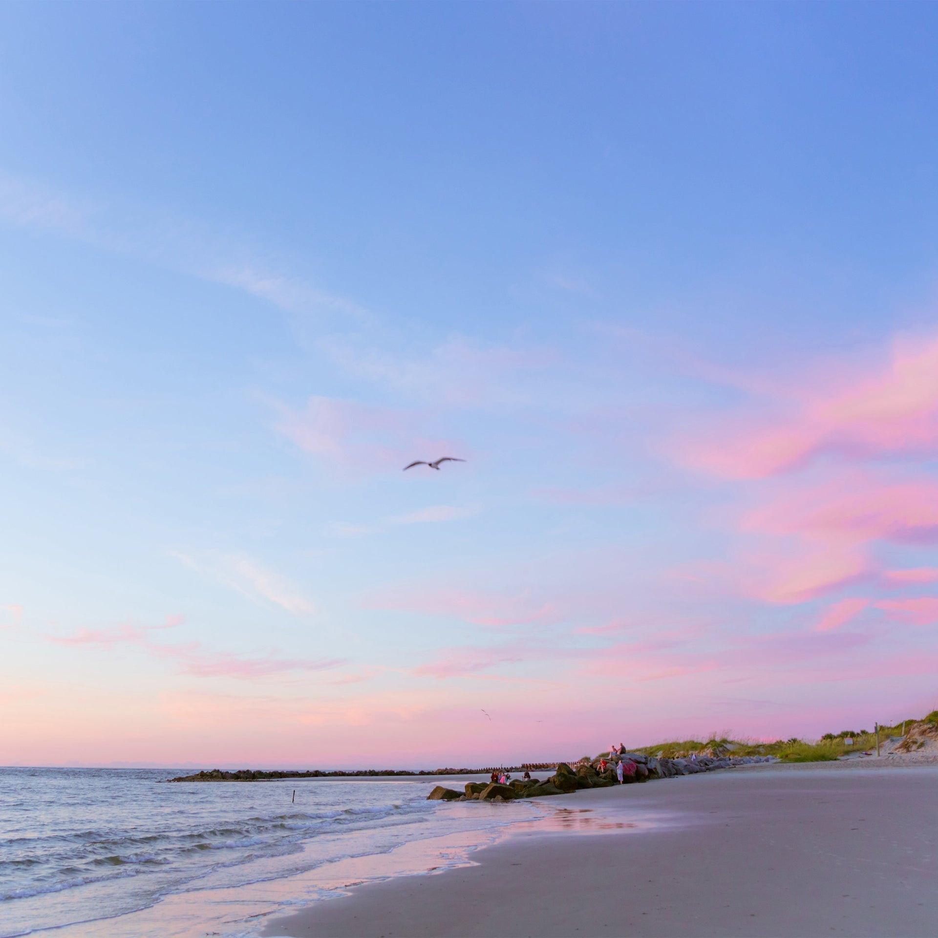 Charleston Edition: A Local Look at Twelve South