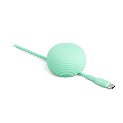 Mint green cable with a round, textured connector on a white background