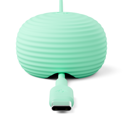 Mint green USB-C cable with a round, ribbed connector on a white background