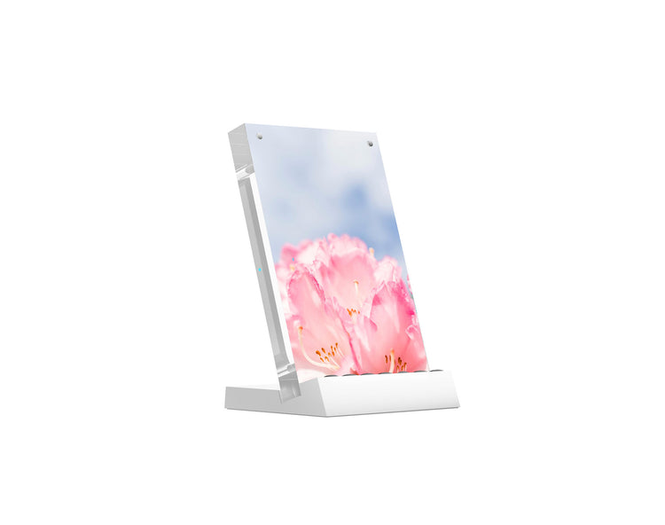 Twelve South PowerPic  Picture Frame Stand with Integrated 10W Qi