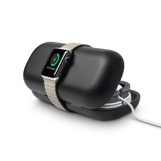Apple watch travel case cheap